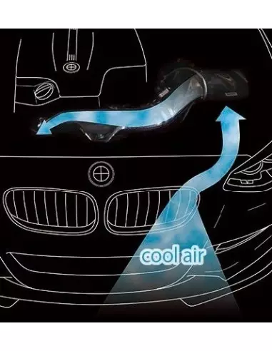 BMW M135i N55 F20 GruppeM Kolfiber insugskit