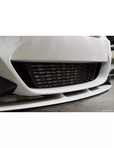BMW M135i 3,0T N55 F20 Evolution Racewerks Competition Intercooler kit