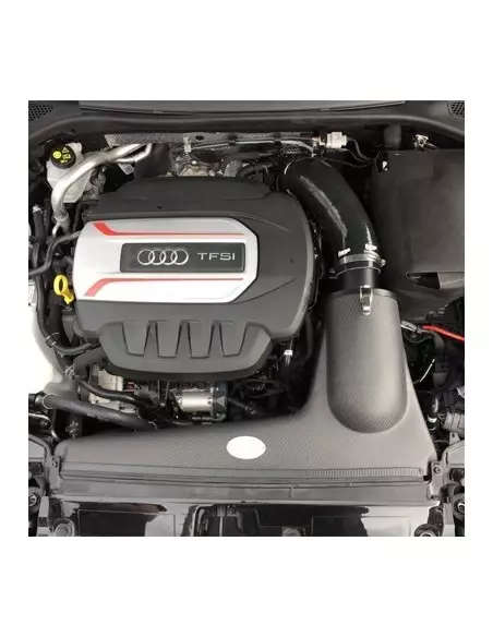 Audi S3 8V Forge Motorsport Kolfiber insugskit med svart silicon slang