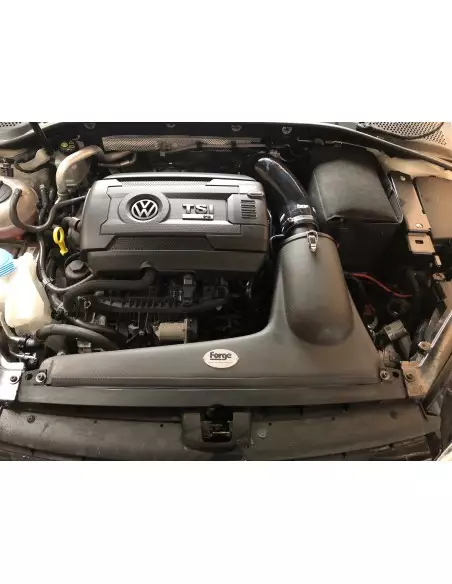 VW Passat 2,0TFSi GTR Forge Motorsport Kolfiber insugskit med svart silicon slang