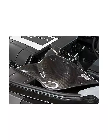 Seat Leon 2,0TFSi 1P GruppeM Kolfiber insugskit