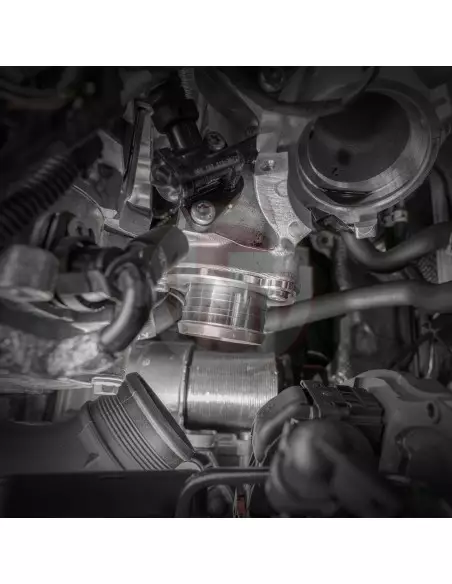 VAG 2,0TFSi EA888 EVO4 IHI Wagner Tuning turbo utlopp