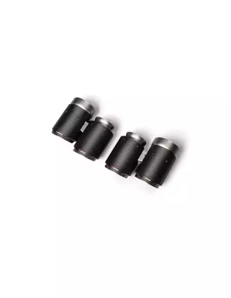 BMW M2 CS S55 F87 Akrapovic Slip-on i Titan med kolfiber utblås (original avgassystem måste kapas)