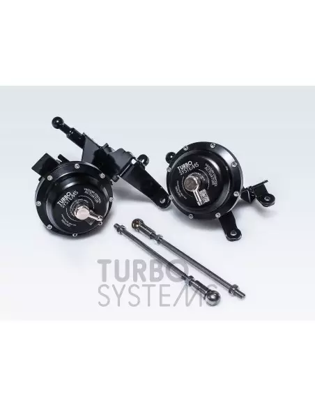Audi 4,0TFSi V8 (gen 1) Turbo Systems uppgraderings wastegates för hög effekt