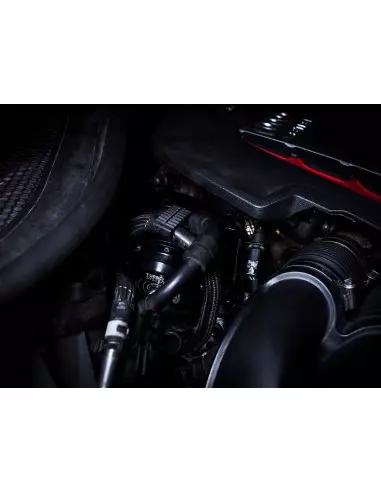 Audi 4,0TFSi V8 (gen 1) Turbo Systems uppgraderings wastegates för hög effekt