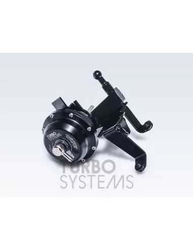 Audi 4,0TFSi V8 (gen 1) Turbo Systems uppgraderings wastegates för hög effekt