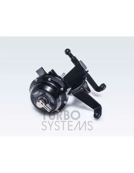 Audi 4,0TFSi V8 (gen 1) Turbo Systems uppgraderings wastegates för hög effekt