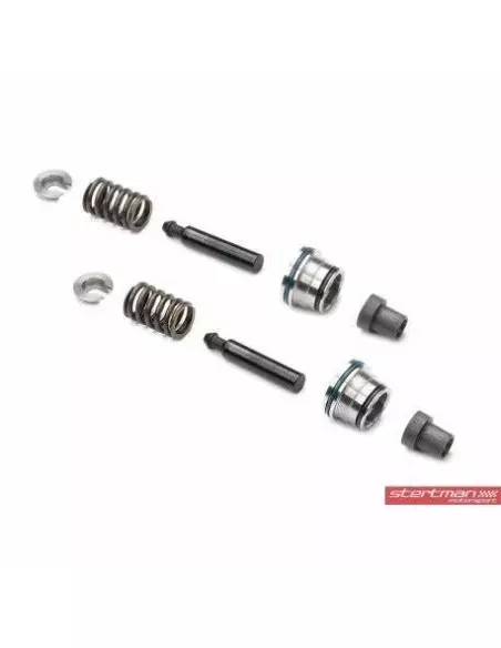 VAG 4,0TFSi V8 EA824 Integrated Engineering Högtryckspump till bränsle (uppgraderings kit till befintlig pump)