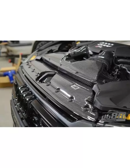 Audi RS6 4,0TFSi V8 C8 DO88 Insugssystem kolfiber med BMC sportluftfilter med Air Straighteners för TTE turbo (Ø60mm)